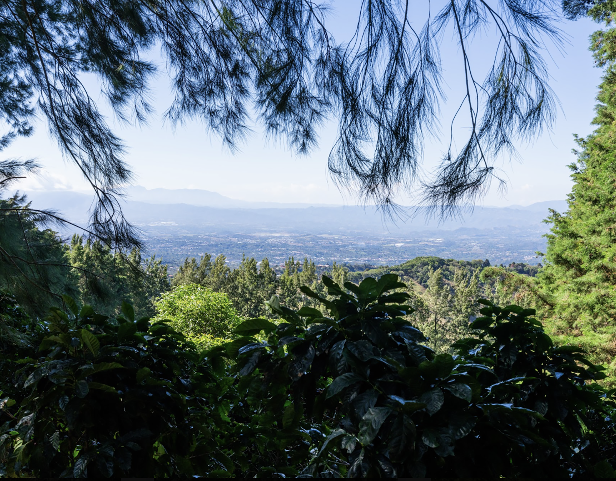 Tout - Producers: Francisco Mena - Slider 2